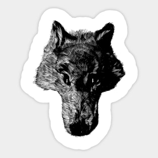 Head coyote Sticker